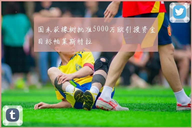 国米获橡树批准5000万欧引援资金目标帕莱斯特拉